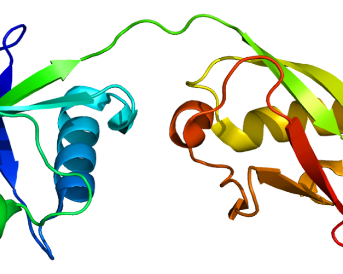 Mouse IL-28B/IFN-Lambda 3 | PBL Assay Science